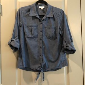 Ann Taylor Loft Petites | Blue Button Down Popover